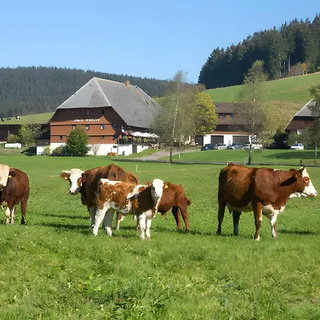 Affittacamere Hirschen Oberes Wirtshaus 3*