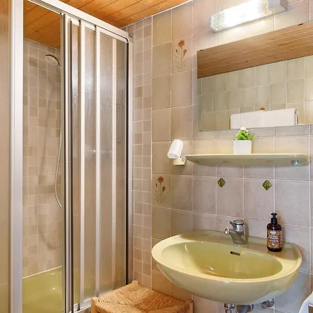 Guest house Hirschen Oberes Wirtshaus Titisee-Neustadt